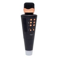 Everton RT-704 Kablosuz Karaoke Mikrofon