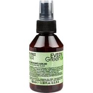 EveryGreen Anti-Frizz Elektriklenme Karşıtı 100 ml Saç Bakım Spreyi