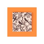 Evidea Kitchen Kuşlu Taş 10x10 cm Renkli Bardak Altlığı