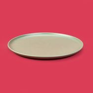 Evidea Kitchen Nordic Yeşil 28 cm Servis Tabağı