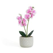 Evidea Objevi 12x35 cm Pembe Beton Saksıda Real Touch Orkide