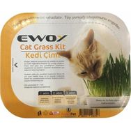 Ewox Tüy Yumağı Oluşumunu Engelleyen Kedi Çimi