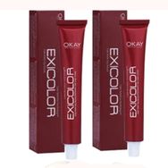 Exicolor 1.1 Mavi Siyah 2 Adet Tüp Saç Boyası + 2 Adet Sıvı Oksidan