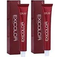 Exicolor 8.1 Küllü Açık Kumral 2x60 ml Tüp Saç Boyası