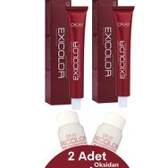 Exicolor Soğuk Gri 2 Adet Tüp Boya+ 2 Adet Oksidan