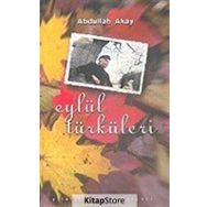 Eylül Türküleri / Abdullah Akay / Birey Yayınları