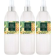 Eyüp Sabri Tuncer 3x150 ml Hawaii Ananas Kolonya