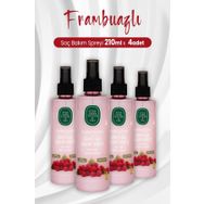 Eyüp Sabri Tuncer 4x210 ml Frambuazlı Sirke ve Süper Saç Bakım Spreyi