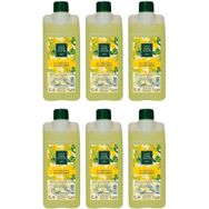 Eyüp Sabri Tuncer 6x1 lt Limon Kolonyası