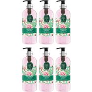 Eyüp Sabri Tuncer 6x500 ml Manolya Çiçeği Sıvı Sabun