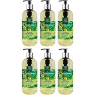 Eyüp Sabri Tuncer Ayvalık Zeytin Çiçeği 6x500 ml Sıvı Sabun