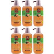 Eyüp Sabri Tuncer Doğal Argan Yağlı 6x600 ml Duş Jeli