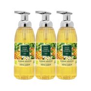Eyüp Sabri Tuncer Hawaii Ananas 3x500 ml Köpük Sabun