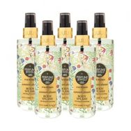 Eyüp Sabri Tuncer Summer Dream 5x250 ml Vücut Spreyi