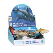 Ezolan 21616-e022/25 Asya Deniz Vahşi Hayvan Oyun Seti