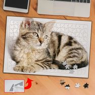 F4F9 Yatan Miskin Kedicik 240 Parça Puzzle Yapboz Tablo