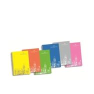 Faber-Castell 5075400161 120 Yaprak PP Kapak 4 Bölümlü Defter