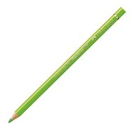 Faber-Castell Polychromos Lıhgt Green Kuru Boya Kalemi