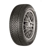 Falken 195/55 R16 91V XL Eurowinter HS02 Kış Lastiği