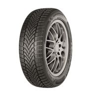 Falken 215/55 R17 98V XL Eurowinter HS02 Kış Lastiği