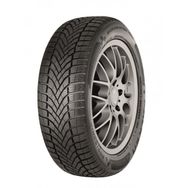 Falken 215/55 R17 98V XL Eurowinter HS02 Kış Lastiği