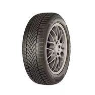 Falken 215/60 R17 100V XL Eurowinter HS02 Kış Lastiği 2025