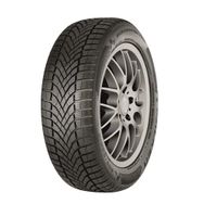 Falken 245/45 R19 102W XL Eurowinter HS02 Pro Kış Lastiği