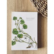 Fark Tanıtım Özel Tasarım Baskılı Kapaklı A5 Kareli Ranunculus Lenormand Kapak Defter