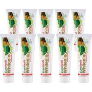 Farmasi Aloe Vera Misvaklı 10x112 gr Diş Macunu