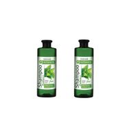 Farmasi Botanıcs Isırgan Otlu Parlaklık Veren 2x500 ml Şampuan