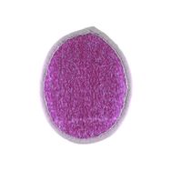 Fe Polyester Oval Yüz Pedi Face Pad