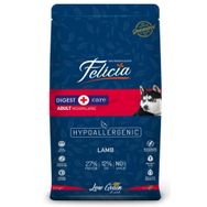 Felicia Az Tahıllı Kuzu Etli Yetişkin 15 kg Köpek Maması