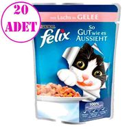 Felix Somonlu Yaş 20x100 gr Kedi Maması