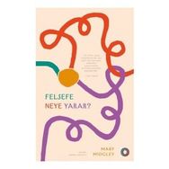 Felsefe Neye Yarar? - Mary Midgley