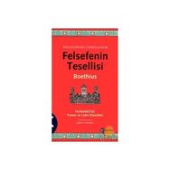 Felsefenin Tesellisi - Alain De Botton