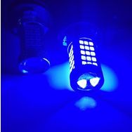Femex 2835 Chip Mavi Renk Mercekli 66 Ledli H8/11- 9W- Sis Farları İçin Led Ampul