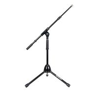 Fenix Fms-001 Küçük Single Boom Metal Stand