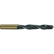Fett DIN388 0.30 mm 10'lu Iat Hss Matkap Ucu