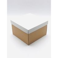 Feza Kutu Çok Amaçlı 23x23x15 cm 10 Adet Karton Pasta Kutusu