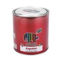 Filli Boya Caparol 2.5lt Kapatan