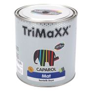 Filli Boya Caparol Trimaxx Siyah 2.5 lt Mat Sentetik Boya