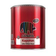 Filli Boya Kapatan 0.75 lt Leke Örtücü Boya