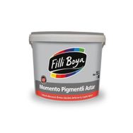 Filli Boya Momento Pigmentli Astar