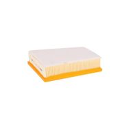 Filtron AP185/4 Hava Filtresi