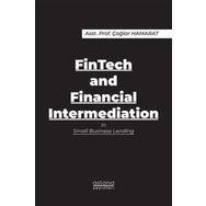 FinTech and Financial Intermediation in Small Business Lending - Astana Yayınları
