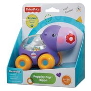 Fisher Price BGX29 Poppity Araçlar