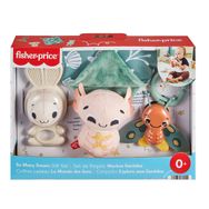 Fisher Price HRB17 Duyuları Harekete Geçiren Oyun Seti