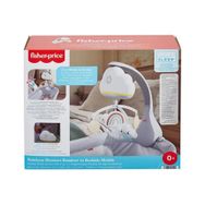 Fisher Price Mutlu Gökyüzü Dönence