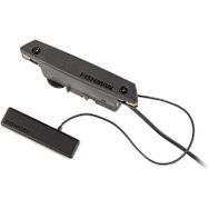 Fishman Powertap PRO-REP-104 Earth Soundhole Manyetik