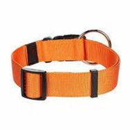 Flamingo 55-75 cm Turuncu Köpek Boyun Tasması
